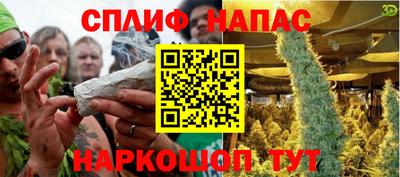 крисы Беслан