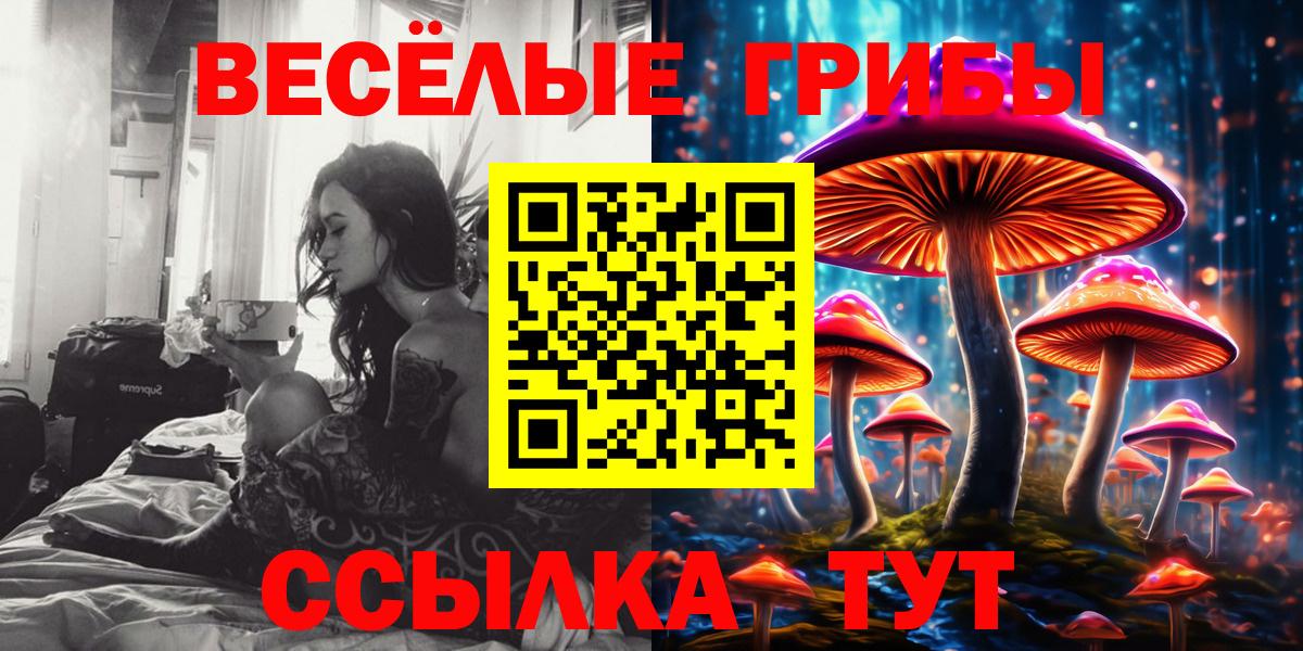 Аргун  закладка  Вход с VPN  Галлюциногенные грибы MAGIC MUSHROOMS 