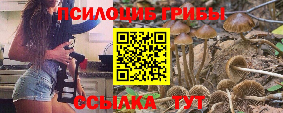 Галлюциногенные грибы GOLDEN TEACHER Аргун